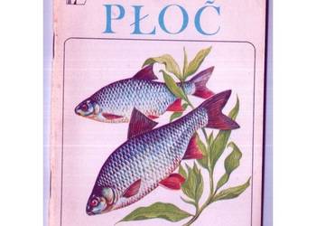 Płoć
