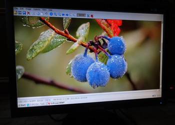 Monitor LCD 20'' Samsung SyncMaster 2043NW (sprawny)