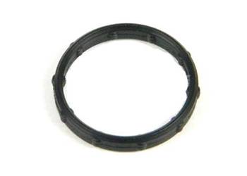 R504669 Pierścień uszczelniający chłodnicy oleju John Deere