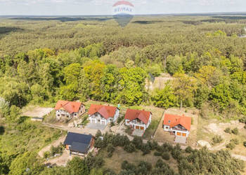 WOLNOSTOJĄCY | LAS | CISZA | SĘKOWO | natura