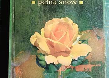 Prowincja pełna snów- Katarzyna Enerlich