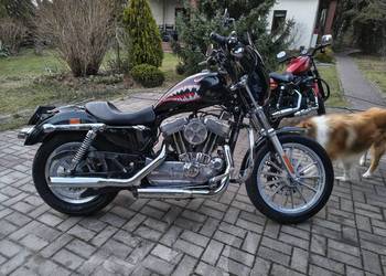 Harley-Davidson Sportster 2004 (gaźnik) dużo dodatków zamiana
