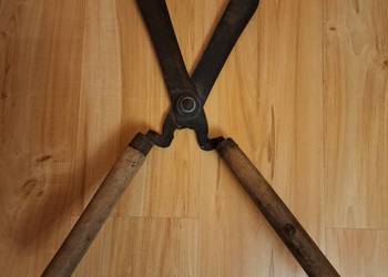 Stare, solidne nożyce ogrodowe