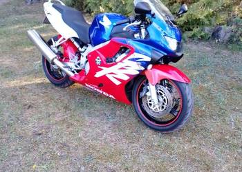 Honda CBR 600 f4 2000r.42333km.