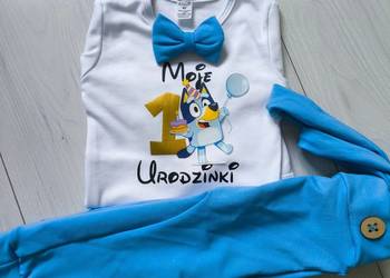 Komplet na roczek chłopca błękitny bluey mstylroczek.pl
