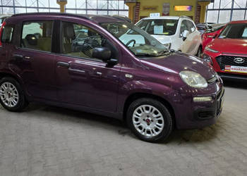 Fiat Panda 1 REJ 2013 ZOBACZ OPIS !! W podanej cenie roczna gwarancja III …