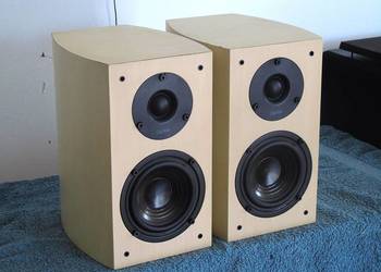 Duńskie kolumny Dantax Century 2 x 100 wat. sprawne. WYSYŁKA