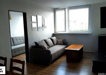 2pok, 37met, ul. Legnicka PIWNICA/WINDA (Wrocław)