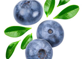Sprzedam jagody