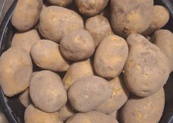 Ziemniaki sadzeniaki soraya