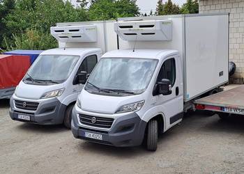 Fiat Ducato Chłodnia/ Mroźnia 2017r Stan IDEALNY