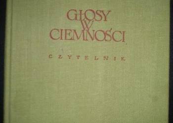 GŁOSY W CIEMNOŚCI - STRYJKOWSKI JULIAN