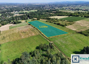 Sprzedam działka Zręcin 11230m2
