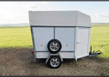 Wypożyczę wynajmę przyczepę do przewozu koni owiec DMC 1300 kg kateg. B