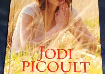 Drugie spojrzenie - Tom 19 - Jodi Picoult