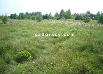 Grunt do sprzedania 7000m2 Władysławów