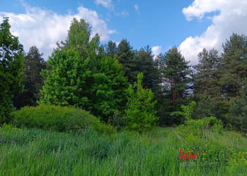 Grunt Przeczyce 3600m2