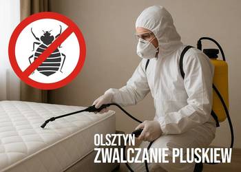 Zwalczanie Pluskiew Olsztyn - Odpluskwianie, Dezynsekcja