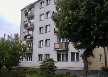 mieszkanie 2 pok. 37,59 mkw Elbląg Kopernika
