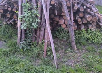 Drewno opałowe Drewno opałowe