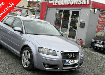 Audi A3 Sportback Benzyna Zarejestrowany Ubezpieczony 8P (2003-2012)