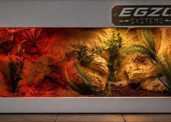 Terrarium hodowlane dla żółwia greckiego agamy brodatej