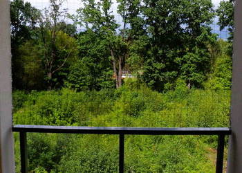 Montowanie siatek przed ptakami na balkon Warszawa Siatka na balkon montaż