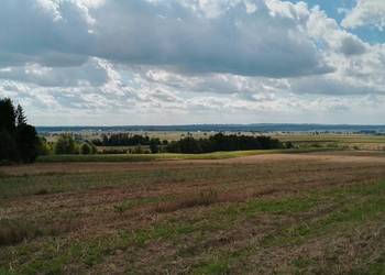 Sprzedam działkę rolno-leśną
