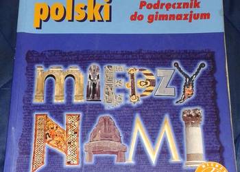 Między nami 1 Język polski. Podręcznik - Agnieszka Łuczak, Ewa Prylińska