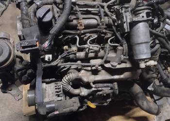 Silnik 1.4 D4D 1N-P72L Toyota Yaris II  Film z Pracy Wysyłka