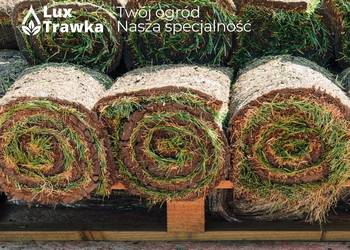 Trawa w rolce | Trawa z rolki | DOSTAWA MAŁOPOLSKA