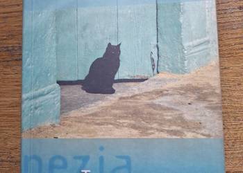 Tunezja-David Willett  Pascal lonely planet