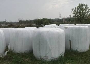 sianokiszonka w balotach