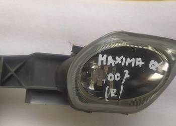 Nissan Maxima qx 2000 2001 halogen prawy lift