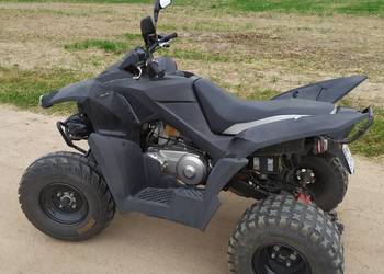 Quad adlly 320 s 2020 r.
