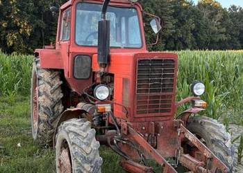 MTZ 82