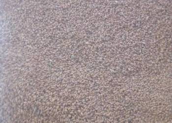 Pszenica transport workowane