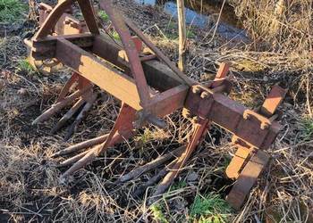 Wyorywacz do buraków