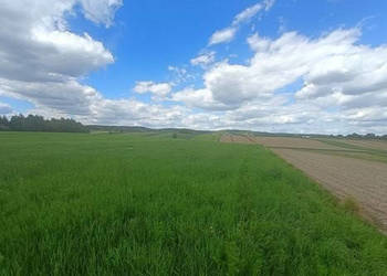 Działka rolna | Cholerzyn | 5400 m2