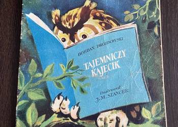 Tajemniczy Kajecik - Bohdan Drozdowski - ilustrował Jan Szancer rok wydania