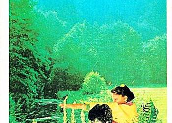 TAJEMNICA PANA MOONA - Anne Stephenson - wyd. RTW