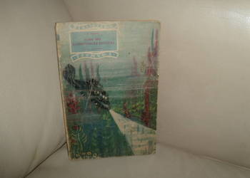 20 000 mil podmorskiej żeglugi Tom 1 J. Verne