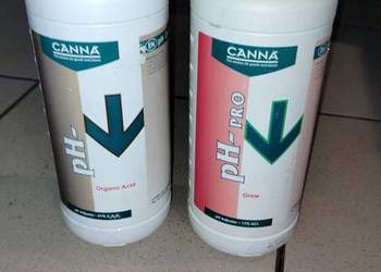 Nawozy Canna Ph-Grow i Organo Acid POLECAM