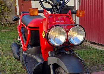 Honda nps 50 zoomer