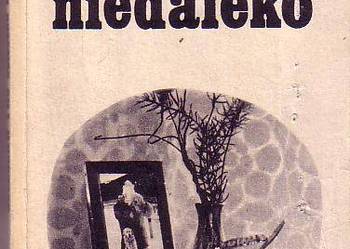 (6934) UCIECZKA NIEDALEKO – BOLESŁAW FAC