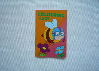 Kolorowanka dla najmłodszych Colouring Book