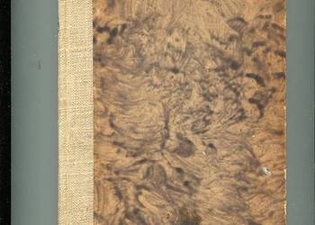 Demokracja kościuszkowska - Próchnik