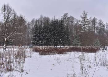 Dzialka 2.89ha Dom Dębiny Opole Lubelskie Poniatowa Chodel