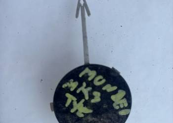 ZASLEPKA ZDERZAKA OSŁONA HAKA TYŁ SZARA FORD MONDEO MK3 KOMBI 1S71N17K922A