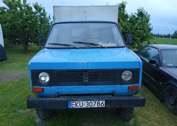Tarpan 239d